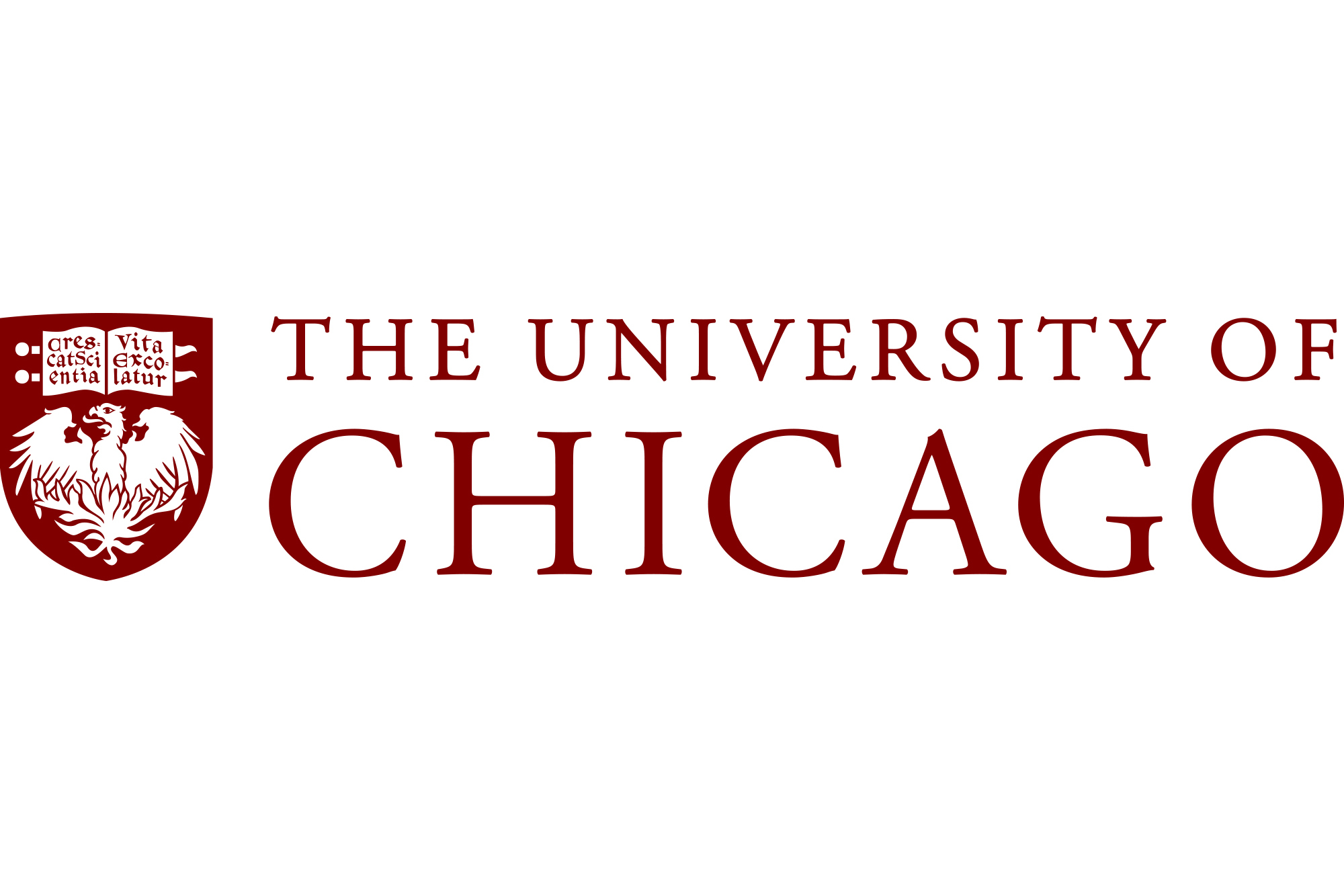 University of Chicago 